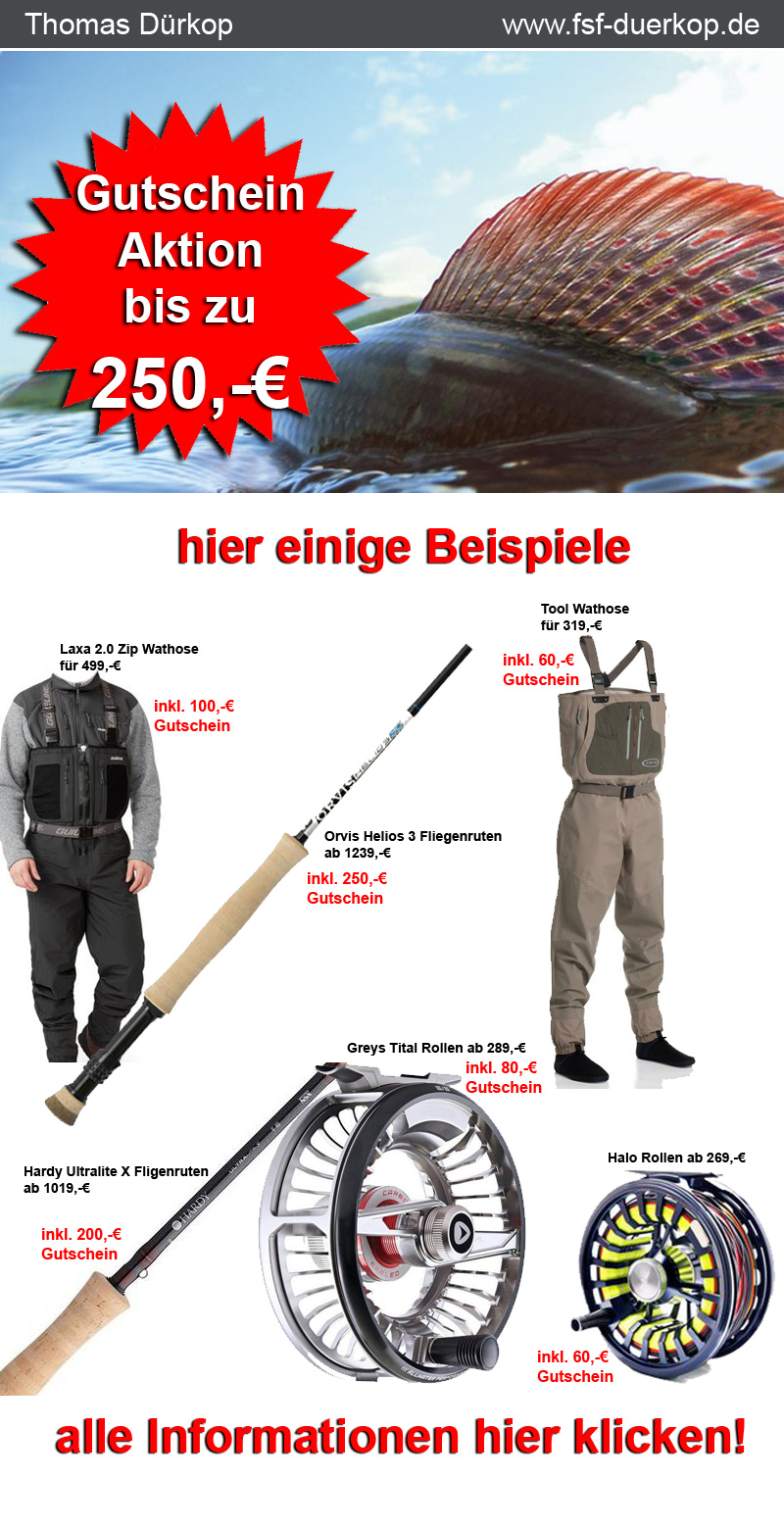 Weekly Deals