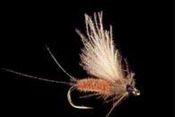 Marc Petitjean - Mayflies 