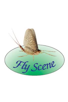 Fly Scene