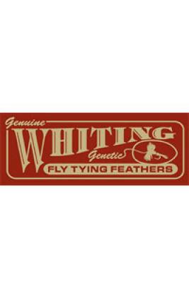 Whiting
