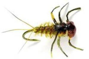 Tactical Flies - Widerhakenlose Trockenfliegen & Nymphen