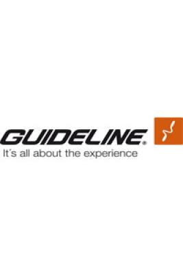 Guideline