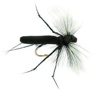 Aero Hawthorne