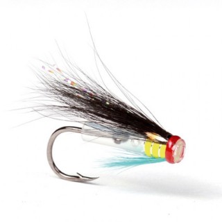 Arndilly Hitch -Siggi Haugur-