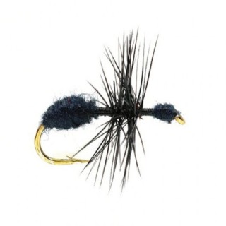 Black Ant Gr.14