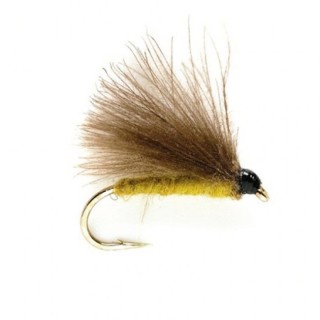 CDC Olive