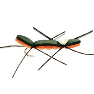 Chernobyl Ant