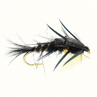 Creeper Black