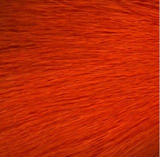 Deer Belly Hair orange