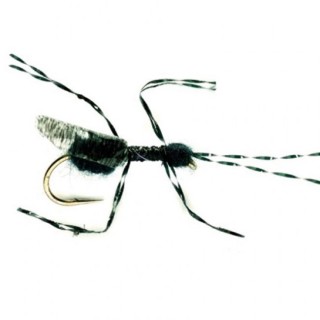 Flying Ant Black