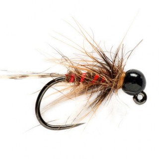 KJ Hot Hare´s Ear