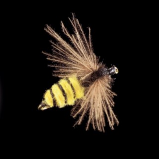 MP 72 -Bees- Gr.14