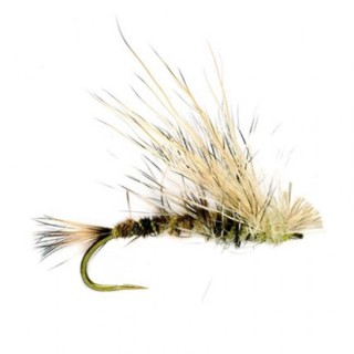 Mayfly Emerger