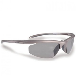Bertoni Modell 308