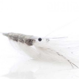 Oelandspey