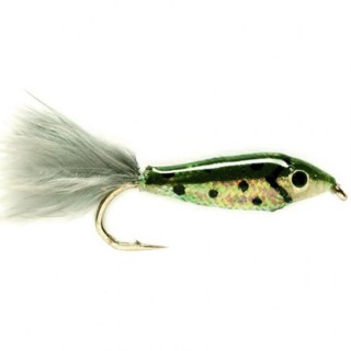Rainbow Gr.8