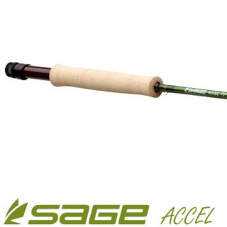 Sage Accel Einhand-Fliegenruten
