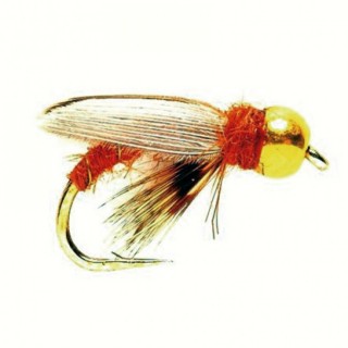 Sedge Pupa