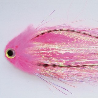 Sheephead - Pink -