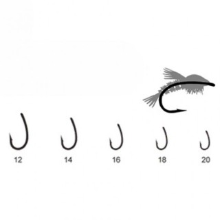 T20 -Emerger-