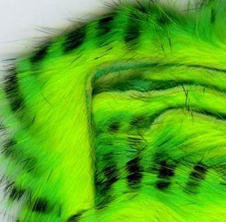 Tiger-Rabbit-Strips