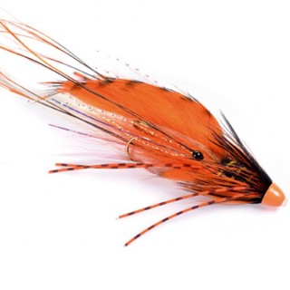 Tiger Snaelda -orange-