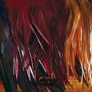 Wooley Bugger Saddlehackle