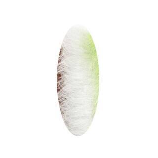 Chromatic Brushes  livebait