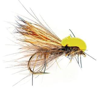 Balloon Caddis Tan Trockenfliege