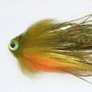 Bleeding Perch -Sheep Head -