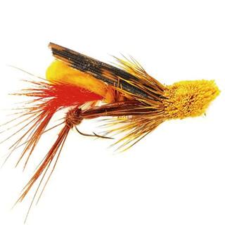 Grasshopper