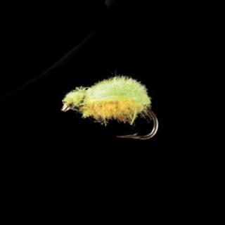 MP 103 -Greenyellow-Beetle-