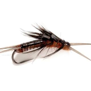 Realistic Nymph Large Black Stonefly 8
