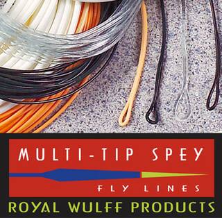 Lee Wulff Triangle Taper Multi-Tip Spey -schwimmend- #10