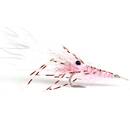 Guideline Leo Shrimp - pink-  Meerforellenfliege