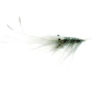 Oeland Spey  -Meerforellenfliege-