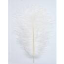 UV2 ganze Strauen Feder weiss