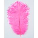 UV2 ganze Strauen Feder hot pink