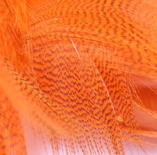 Stockentenfedern orange