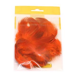 Stockentenfedern orange