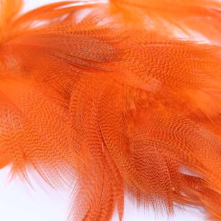 Stockentenfedern orange
