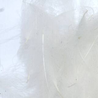 CDC Federn weiss