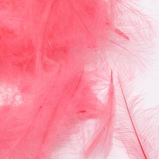 CDC Federn pink