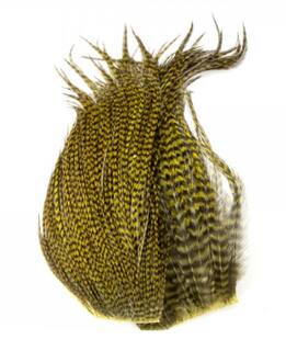 Whiting Bugger Pack gelb