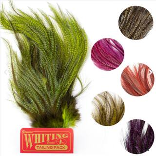 Whiting CDL Euro Nymph Tailing Balg