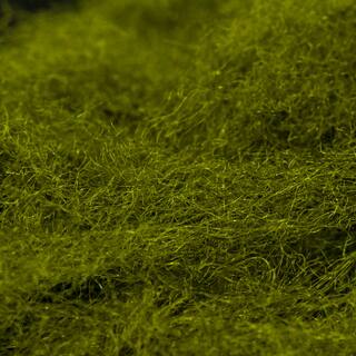 Semperfli Sparkel Dubbing dark olive