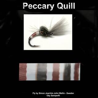 Semperfli Peccary Quills Transparent