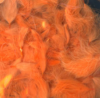 Supreme CDC Puffs orange