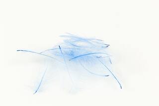 Marc Petitjean MP CDC Federn fluo blau