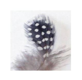 Fliegenbinden Perlhuhn Federn natur